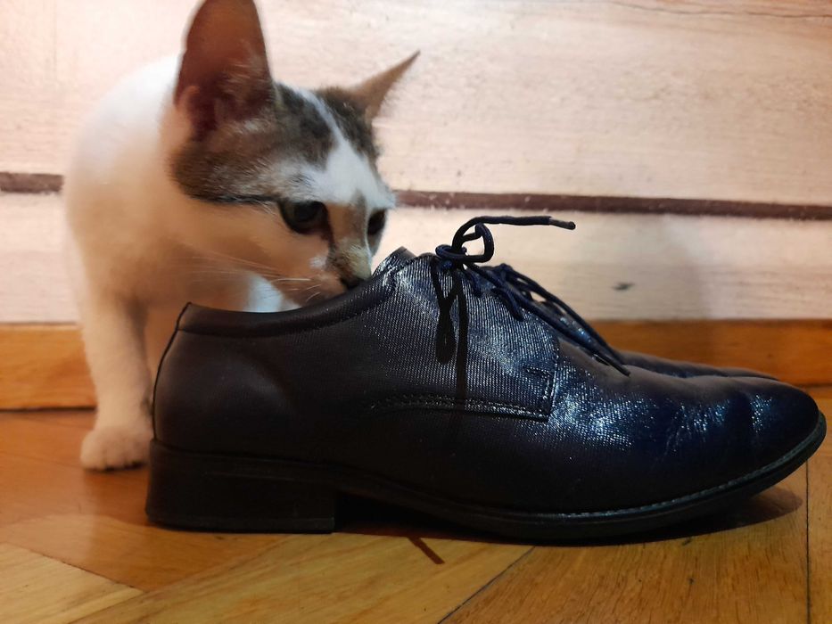 Buty eleganckie  rozmiar 34