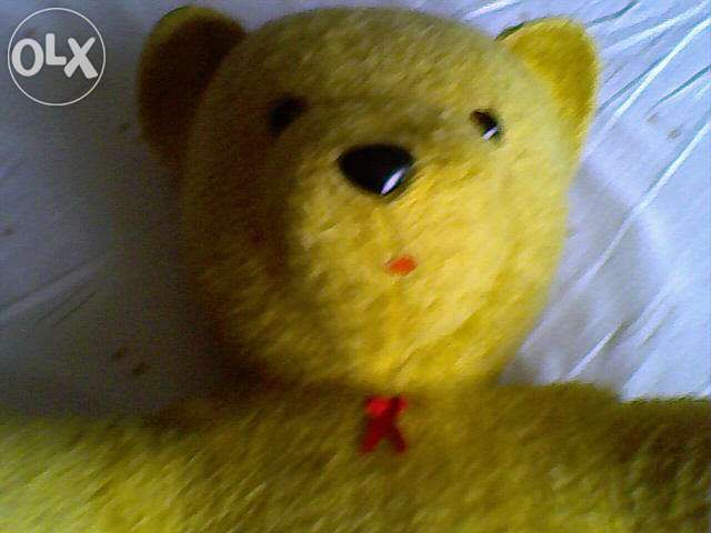 Urso de Peluche grande (como novo)