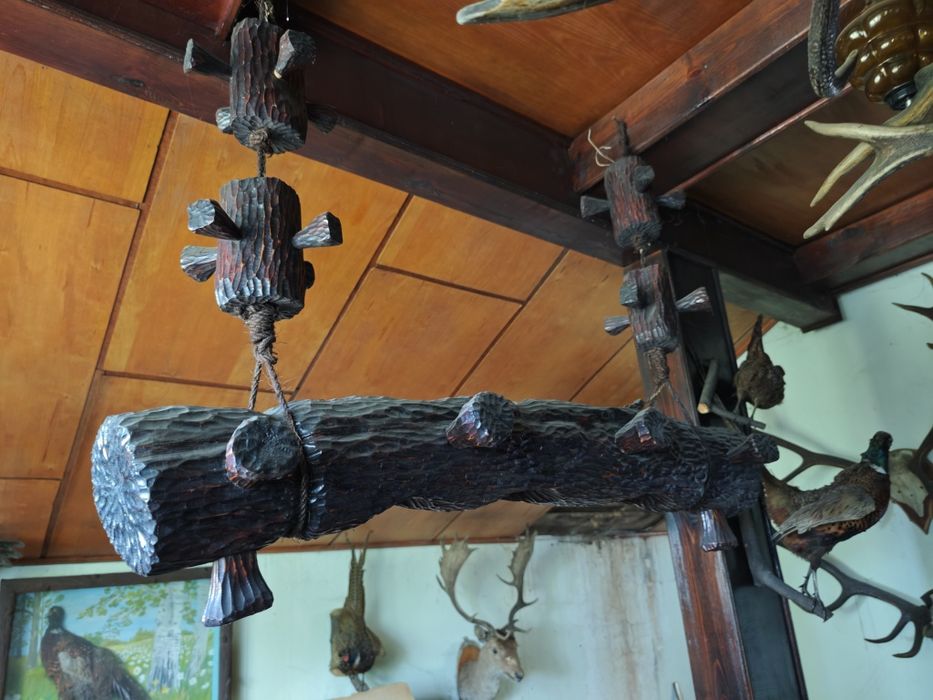 Trofea łowieckie rogi poroża jelenia jeleń lis bażant