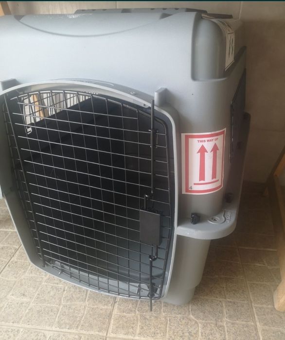 Transportadora como nova