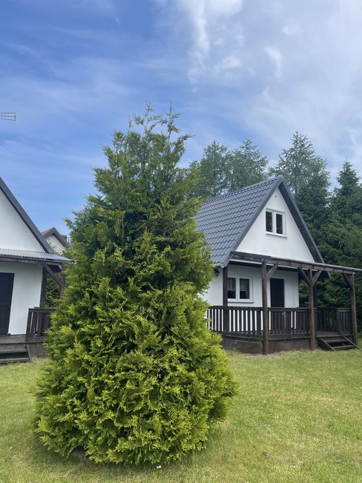 Domki w Białogórze, atrakcyjna lokalizacja, prąd + woda w cenie