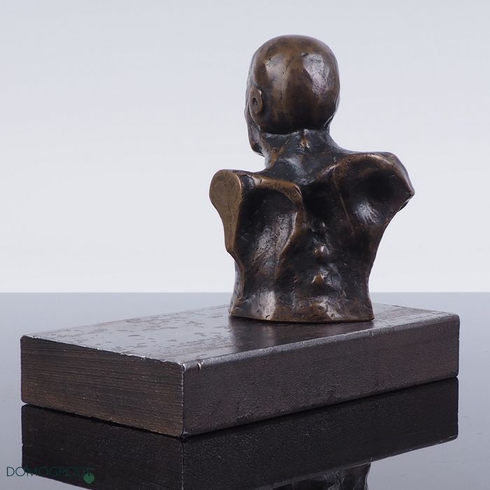 Rzeźba popiersie mężczyzny, brąz patynowany