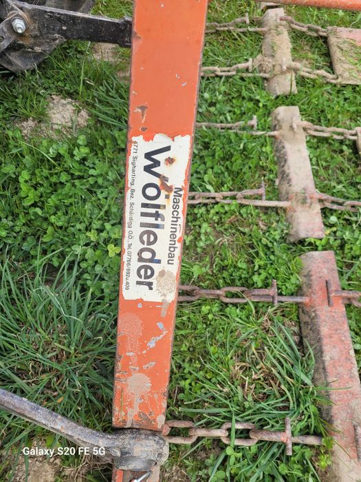 Włuka łąkowa Wolfleder