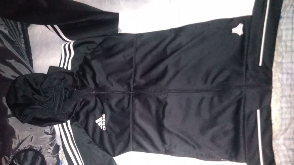 Олімпійка адидас adidas нові колекції