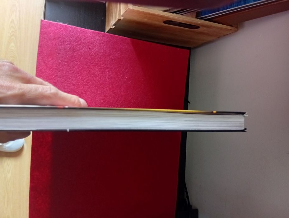 Livro Xutos & pontapés