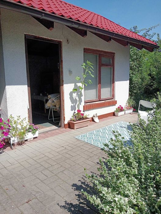 Odstapie prawo do dzialki rod
