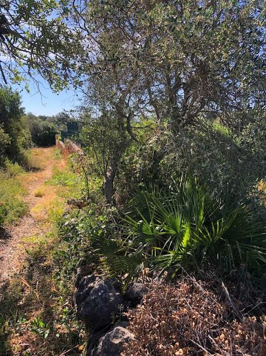 Troco terreno Rustico, p/T0 ou Garagem