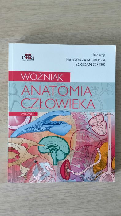 Woźniak anatomia