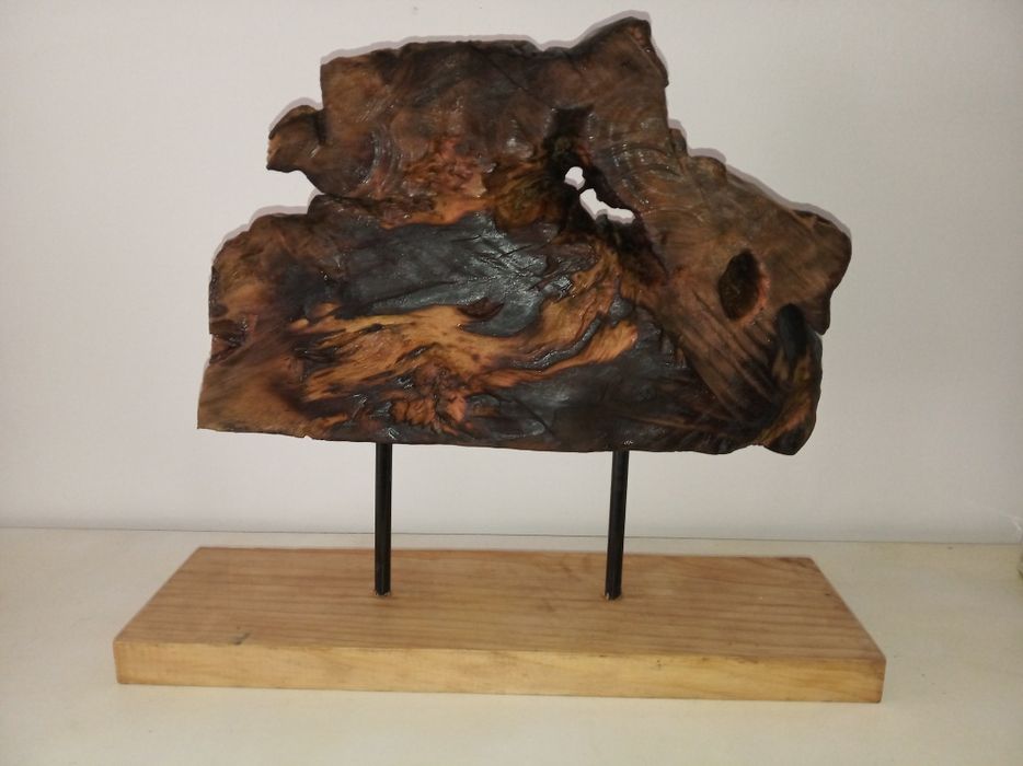 Tronco de cedro rosa