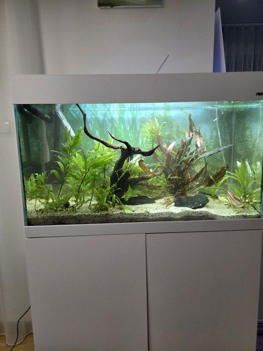 Akwarium aquael optiset 125