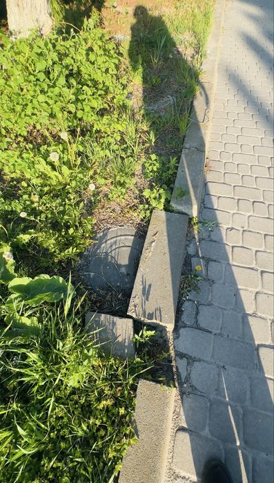 Сокільники ділянка вул Княгині Ольги обжита вулиця по бруківці заїзд