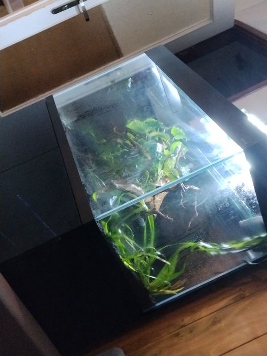 Zestaw akwarium Aquael opti set 200L