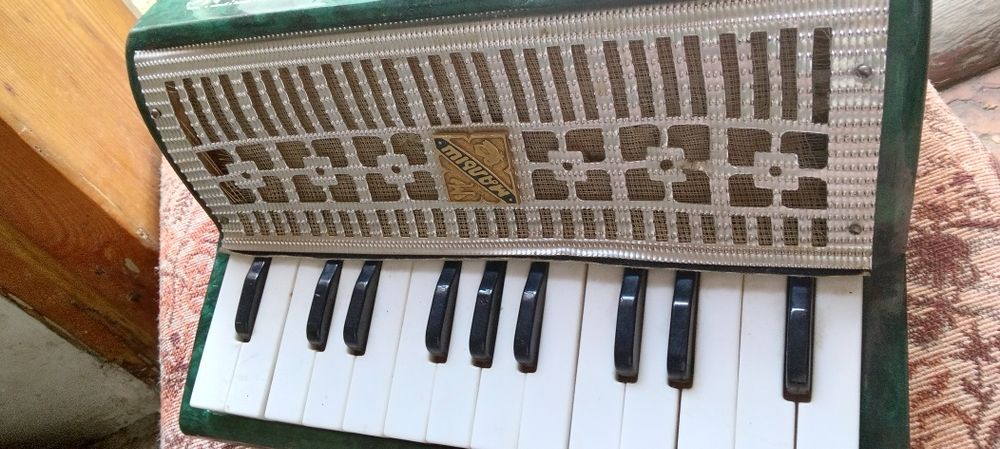 Детский баян "малыш"599грн