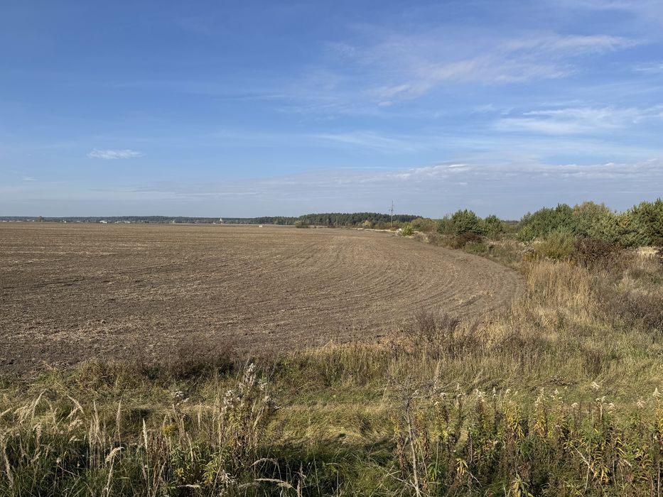 Земельна ділянка площею 2 га 500$ за 1 сот