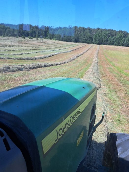 Siano tegoroczne zielone / baloty siana 1 pokos Transport