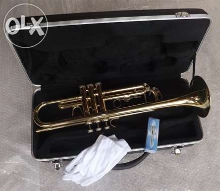 Trompete dourado novo