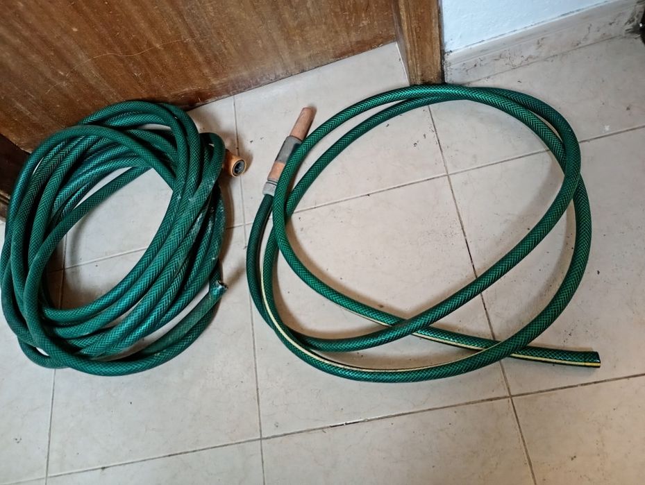 Mangueira              .