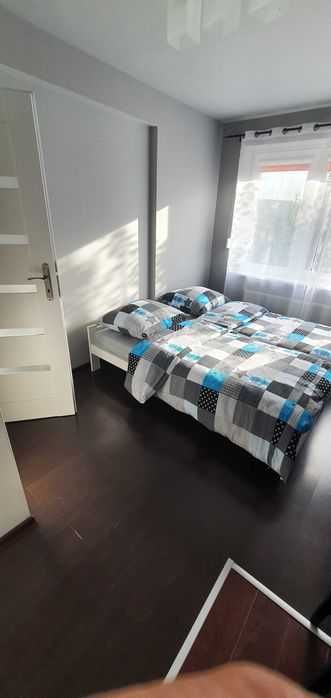 Pokoje do wynajęcia w Buku