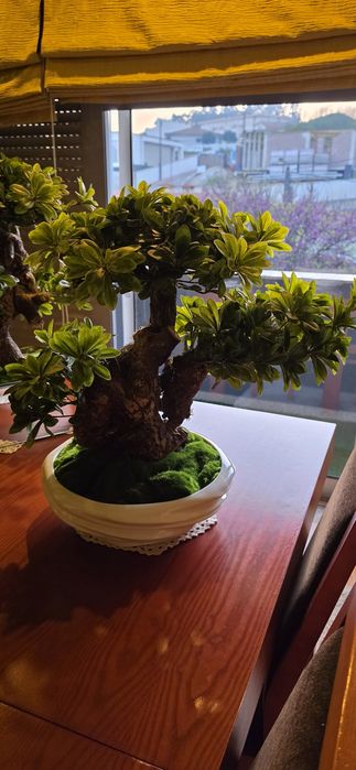 Plantas artificiais e semi artificiais