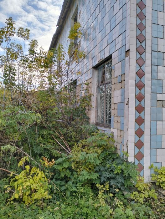 Нежитлове приміщенні, Будівля громадського призначення