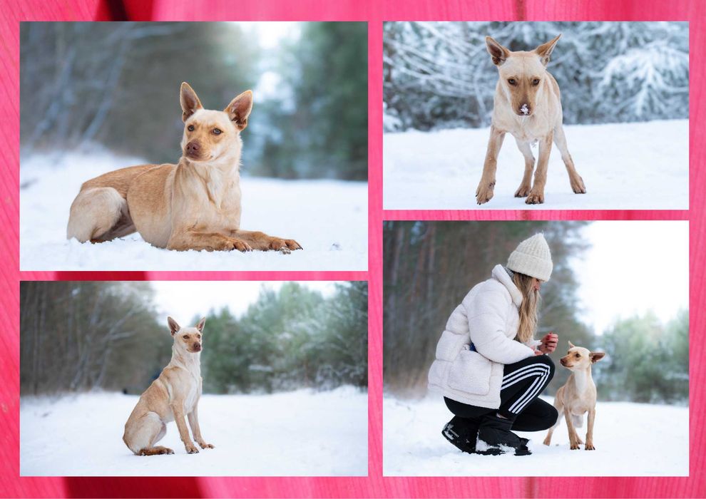 AKIMA - marzy o nowym domu i rodzinie