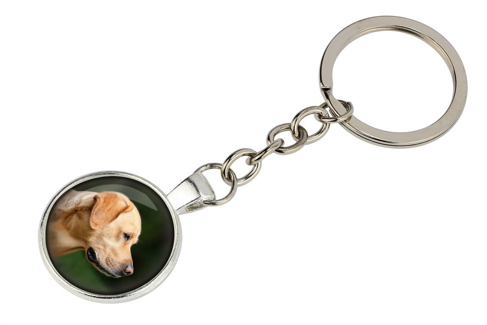 Labrador Retriever brelok w pudełku ze zdjęciem Art-Dog