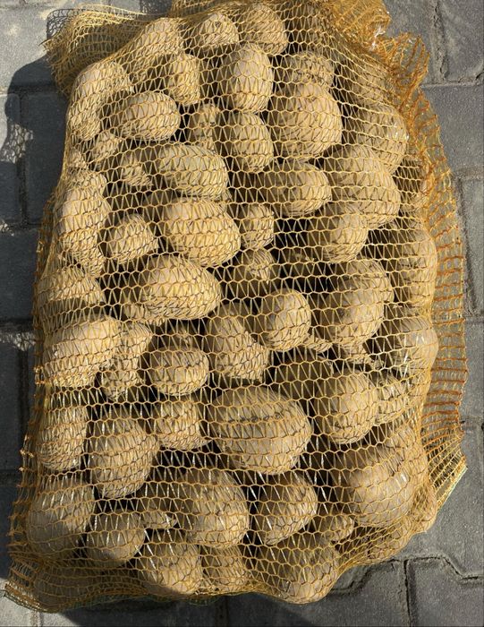 Ziemniaki (Wineta,Marabel, Gala)