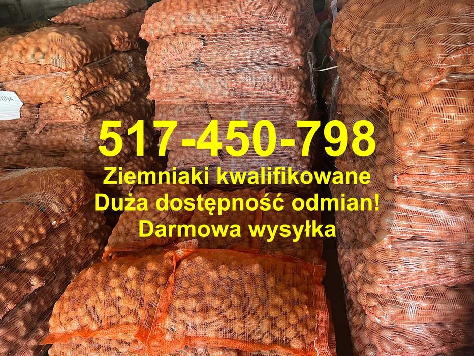 Ziemniaki TZW sadzeniaki Riviera Soraya Corinna Otolia Baltic Rose