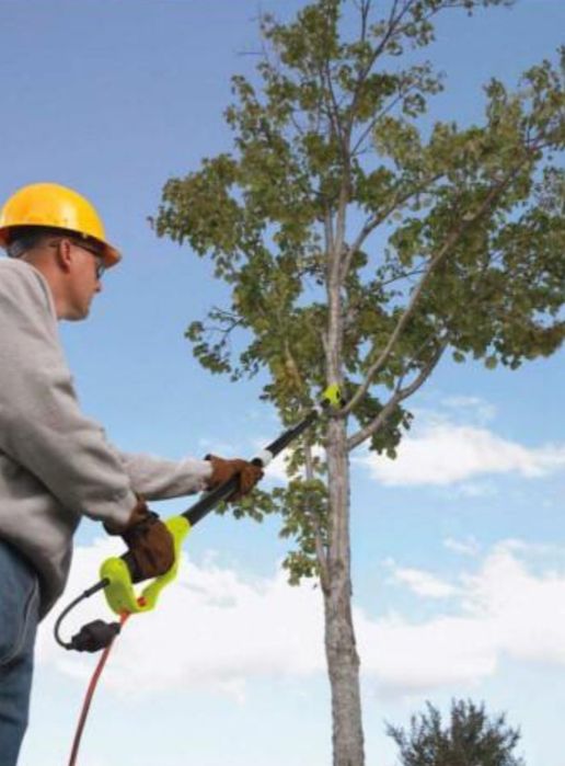 Обрізка саду та дерев.