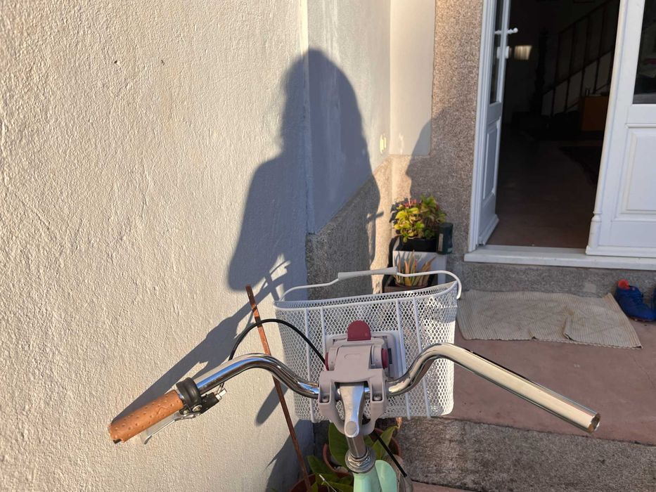 Bicicleta Infantil Legrand 16’’ com Cesto – Verde Menta