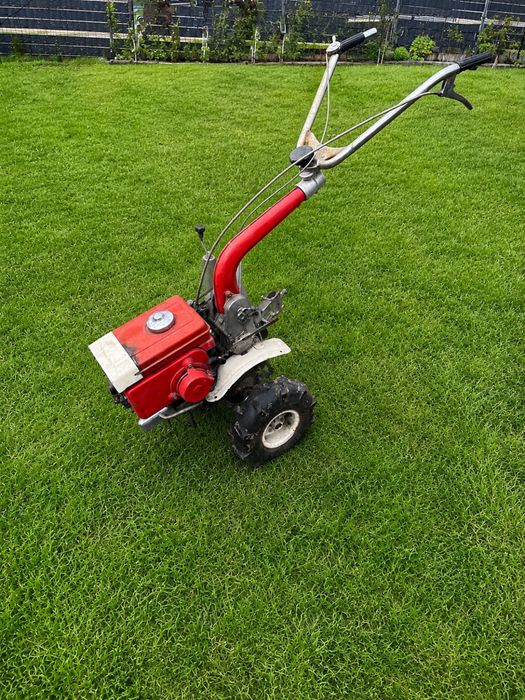 Dzik Glebogryzarka Honda G25