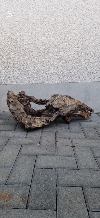 Korzeń do akwarium