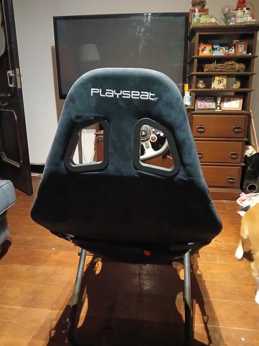 Playset chalenge +g29 +shifer