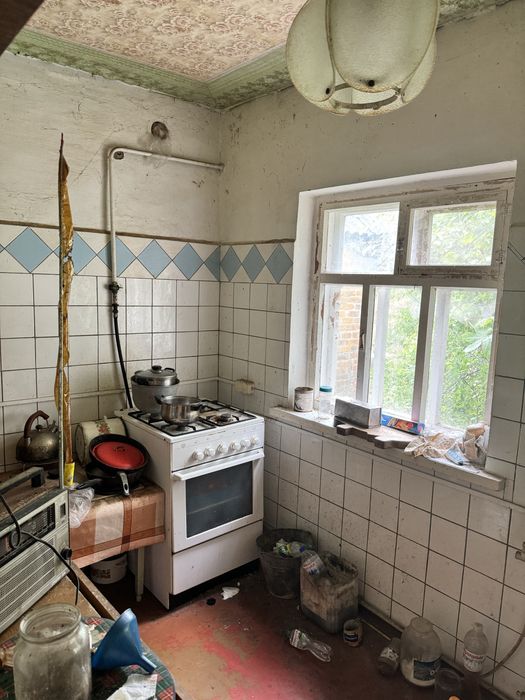 Продаж будинку з великою земельною ділянкою у Музичах