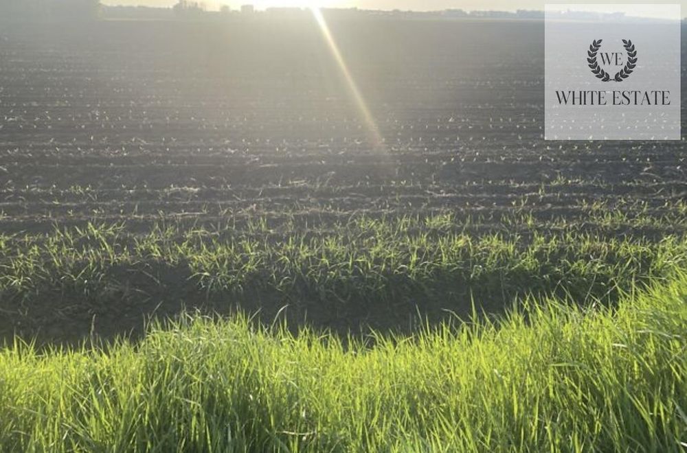 Продаж земельної ділянки