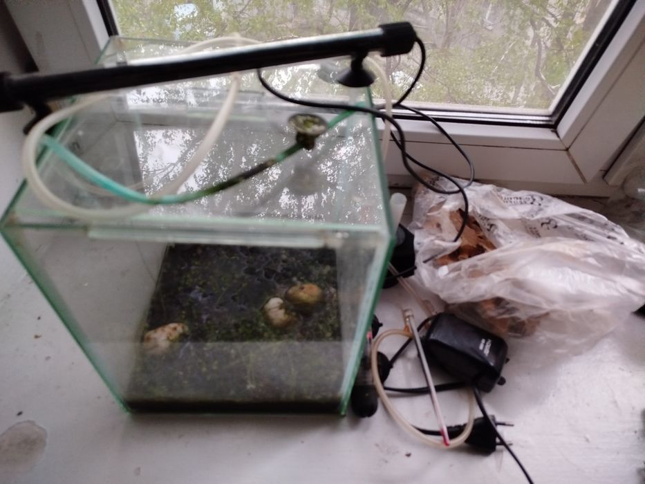 Аквариум с оборудованием