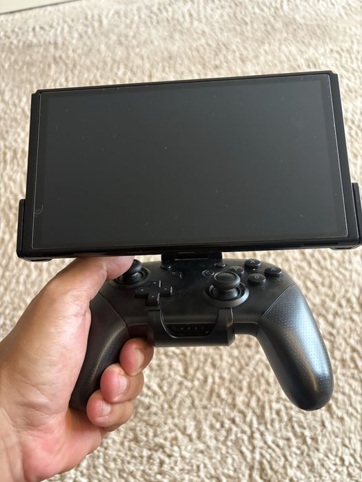 Ningendo Switch Fixture s2