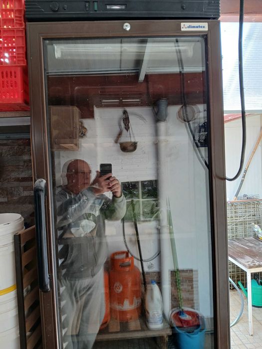 frigorifico vitrine de vinhos