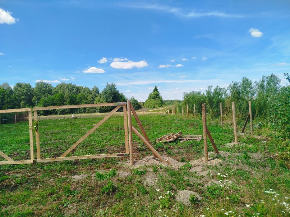 Ogrodzenie budowlane, ogrodzenie tymczasowe, ogrodzenie leśne