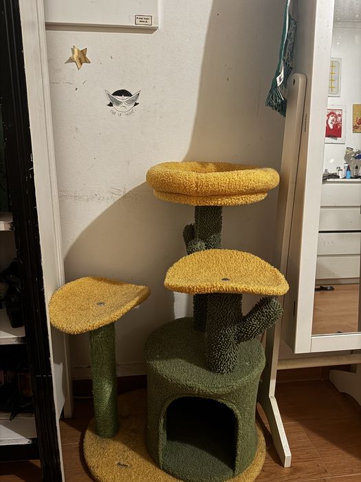 Arranhador gato