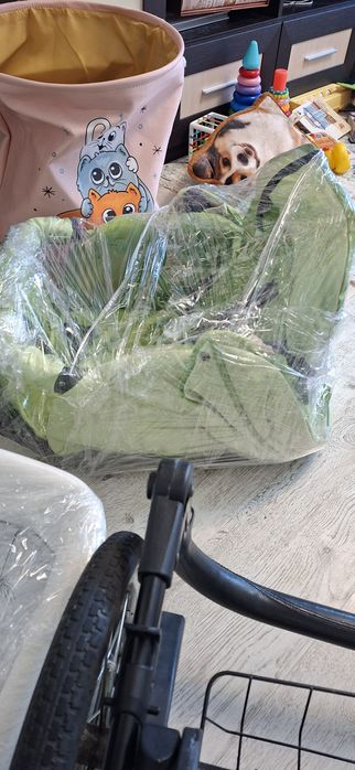 Коляска універсальна 2в1