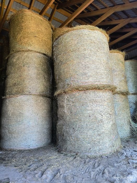 Siano Suche w Belach, Sianokiszonka