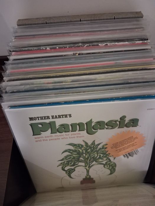 Colecção discos de vinil