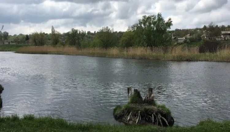 Продается дом в пгт. Малиновка Чугуевского района