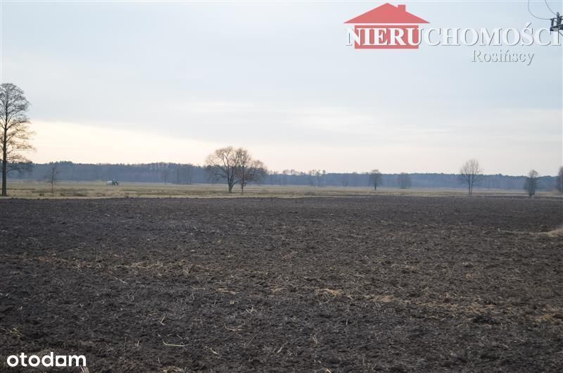 Działka budowlana Kąty-Wielgi, Tłuszcz/Strachówka - Widok 2