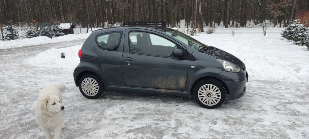Toyota Aygo  małe zwinne auto