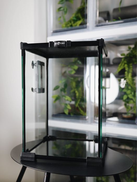 Terrarium ReptiPlanet 20x20x30 cm