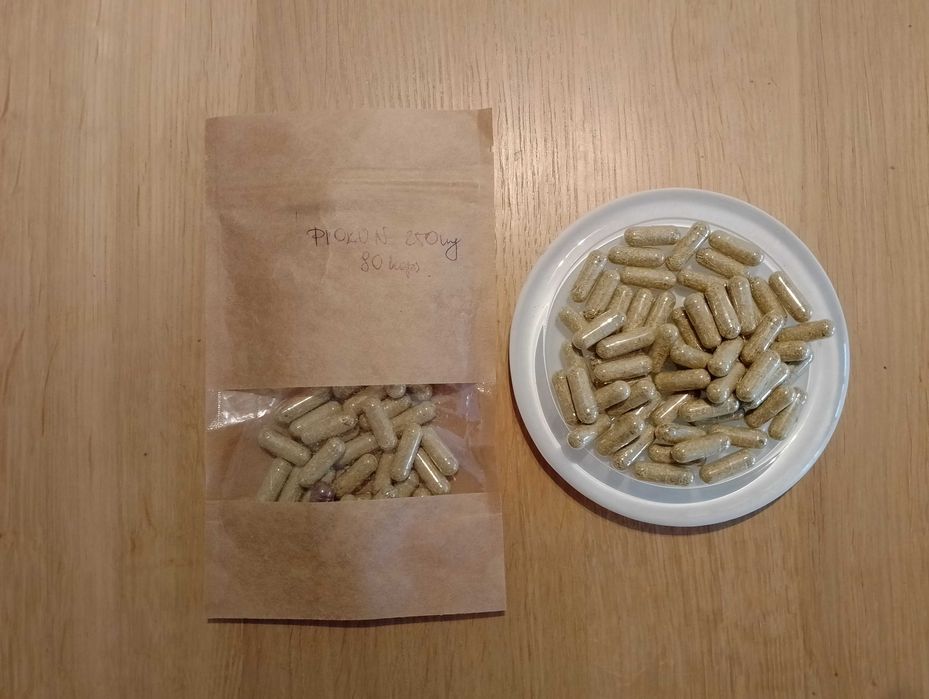Piołun 250 mg 90 kaps.