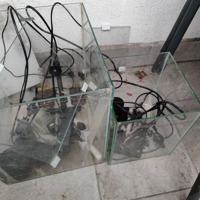 Akwarium,krewetkarium