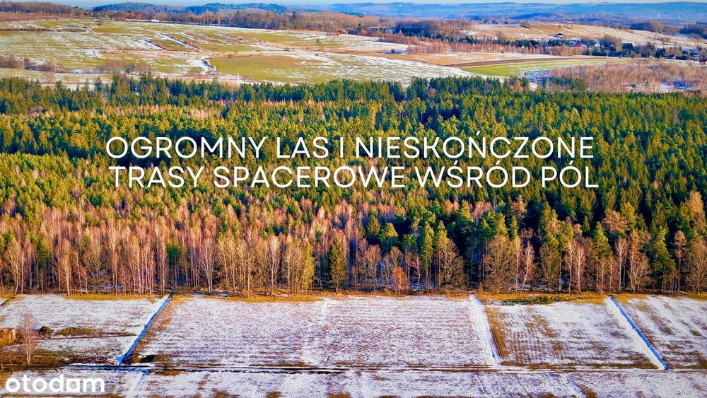 Działka przy lesie z widokiem na Świeradów Zdrój(Mirsk/Leśna/Wolimierz